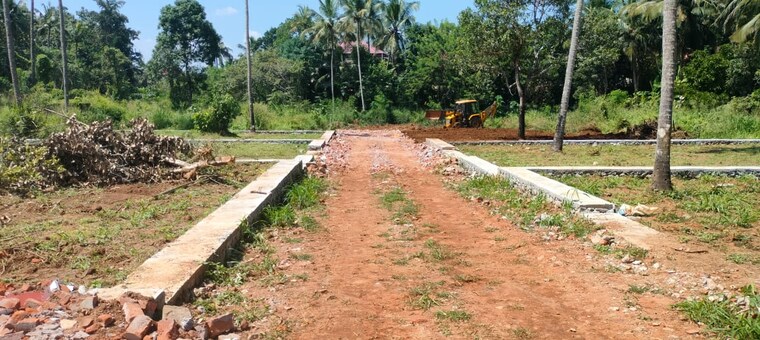 undefined, mannuthy  4356 Sq.Ft. Plot In Mannuthy Thrissur 10017801