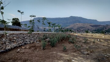 Plot Area in  Plot at Trimbak – for Sale