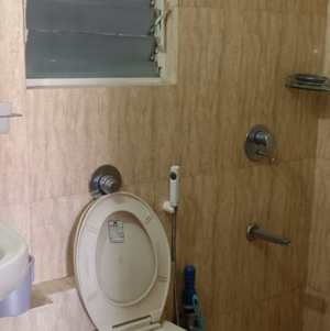Bathroom in 2 BHK Apartment at Aditya Green Zone, Baner – for Rent