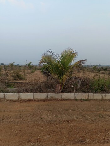 Plot for Sale in Chintapalli, Hyderabad