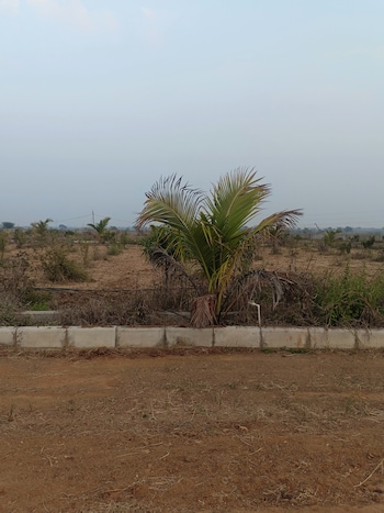 Plot for Sale in Chintapalli, Hyderabad