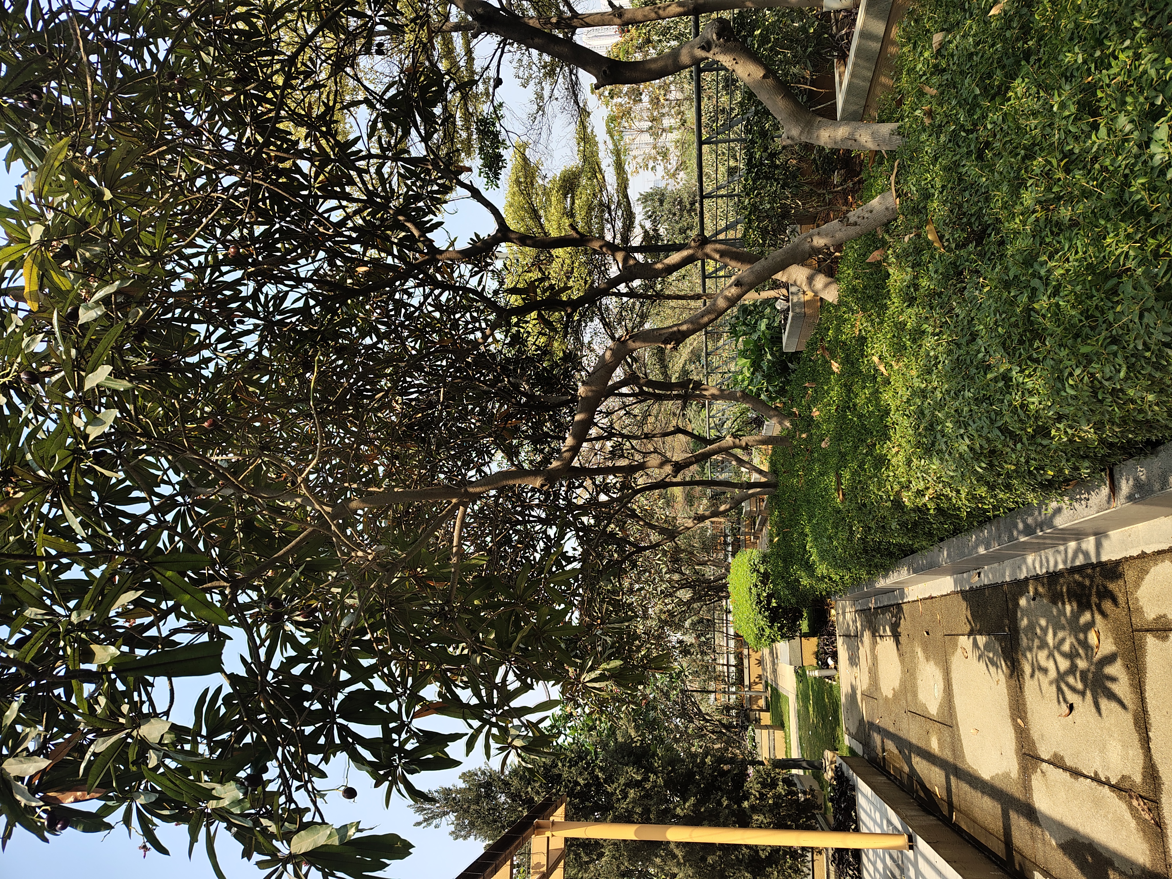 Rental 2 Bedroom 1314 Sq.Ft. Apartment in My Home Avatar, Gachibowli ...