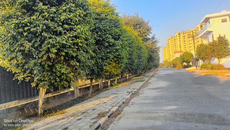 Garden, sector 19  110 Sq.Yd. Plot In Sector 19 Dharuhera 10036379