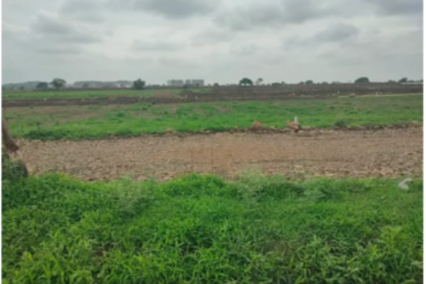 Plot For Sale in Bada Bangarda