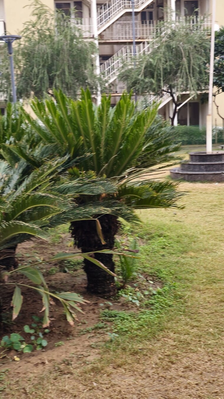 Garden, smart-world-orchard 3 Bedroom 1716 Sq.Ft. Apartment In Sector 61 Gurgaon 10051521