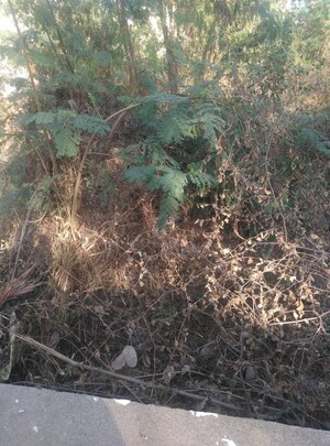  Plot For Sale in Aditya Elegance Nallagandla, Nallagandla