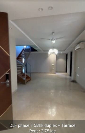 5 BHK Builder Floor For Rent in Dlf Phase I