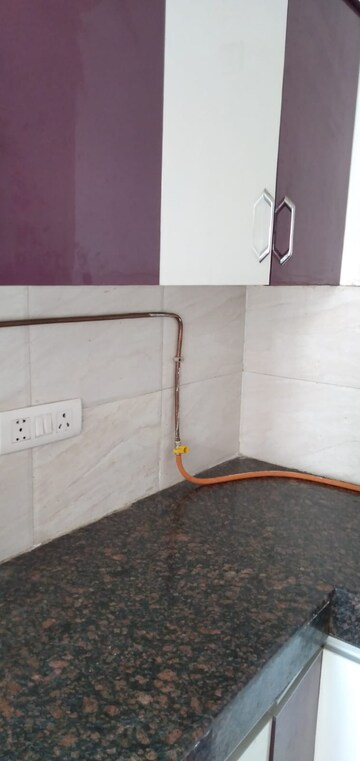 Bathroom in 2 BHK Apartment at Amrapali Terrace Homes, Tech Zone 4 Greater Noida – for Rent