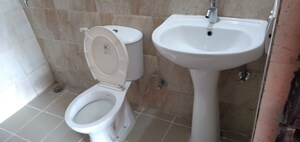 Bathroom in 2 BHK Apartment at Amrapali Terrace Homes, Tech Zone 4 Greater Noida – for Rent