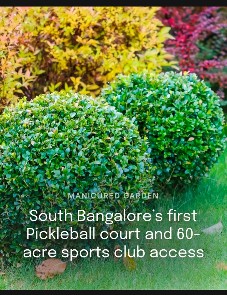 Garden, jigani  1100 Sq.Ft. Plot In Jigani Bangalore 10051605