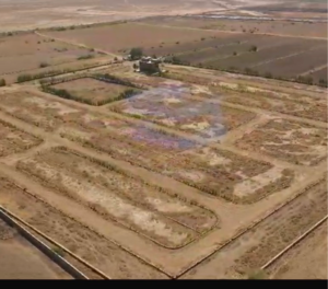  Plot For Sale in Dholera