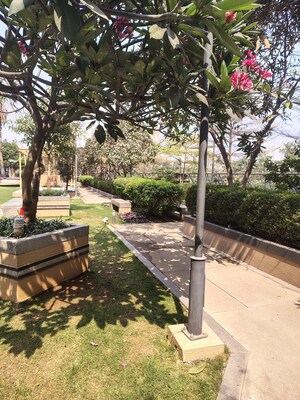 2 BHK Apartment For Rent in My Home Avatar, Gachibowli