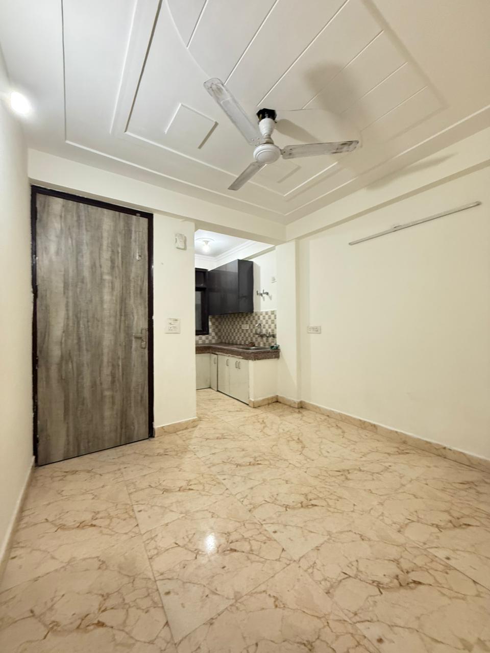 1 BHK Apartment For Rent in Saket