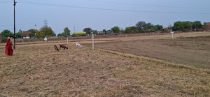Plot Area in  Plot at Chunar – for Sale