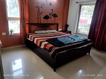 3 BHK Apartment For Rent in Magarpatta City