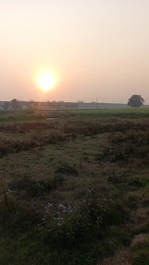  Plot For Sale in Tarc Kailasa, Kirti Nagar