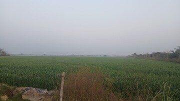  Plot For Sale in Tarc Kailasa, Kirti Nagar