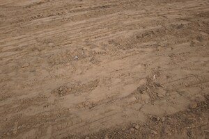 Plot Area in  Plot at Tappal – for Sale