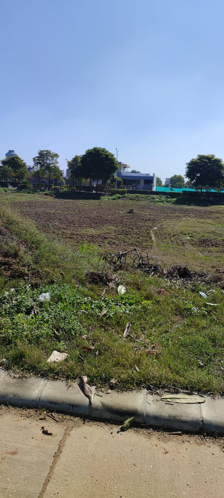 undefined, omaxe-new-chandigarh  301 Sq.Yd. Plot In North Mullanpur Chandigarh 10053005