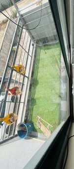 1 BHK + Extra Room 110 Sq.Ft. Apartment in Kharar