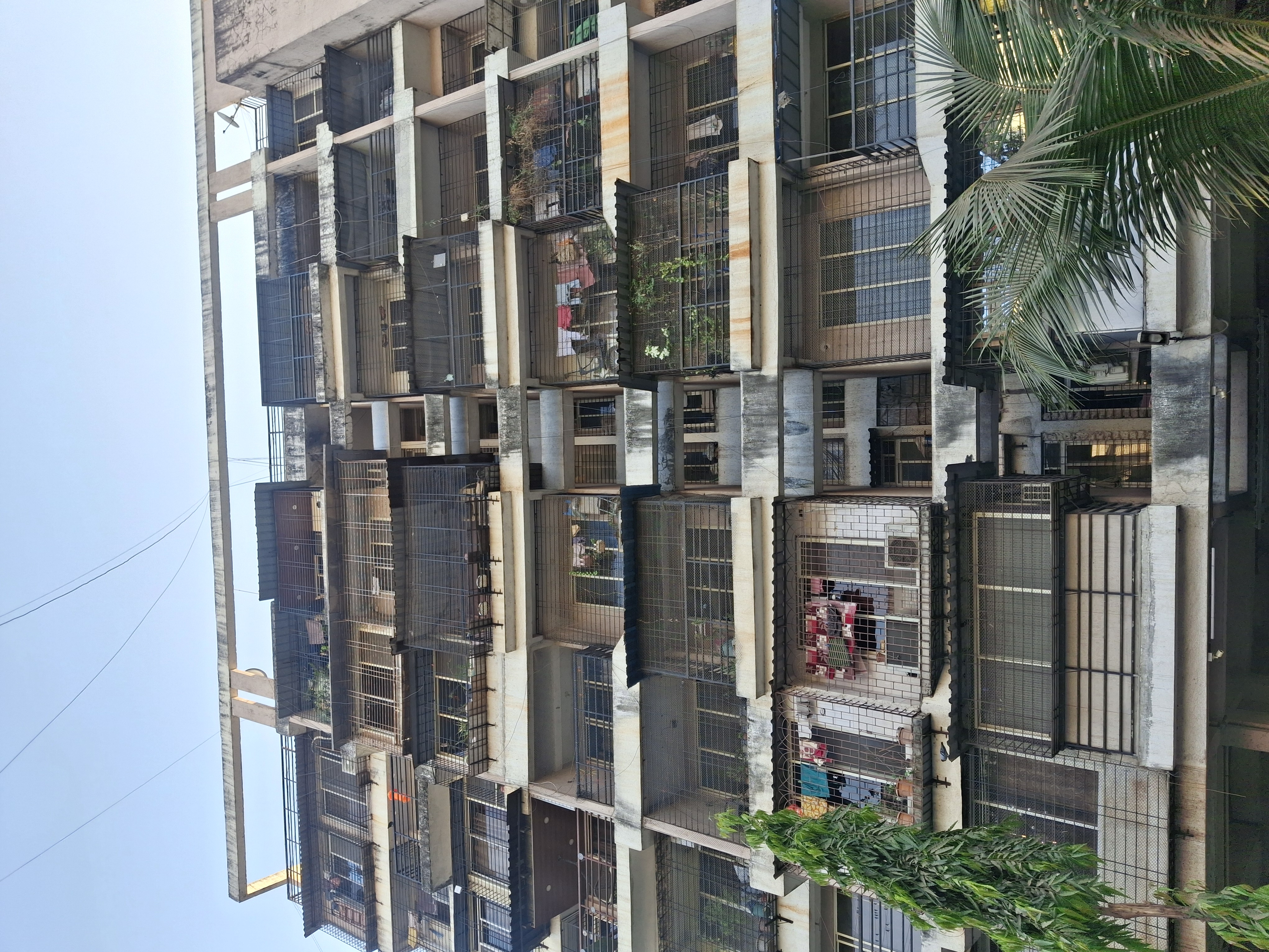 1 BHK Apartment For Rent in Sai Darshan Ghansoli