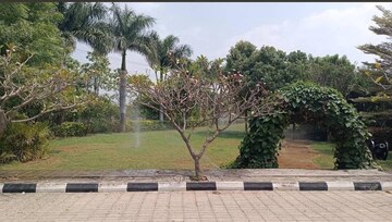  Plot For Sale in Jigani