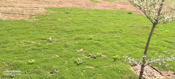  Plot – Garden View at Sector 4 Wave City - for Sale