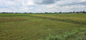 Plot for Sale in Sector 89, Mohali
