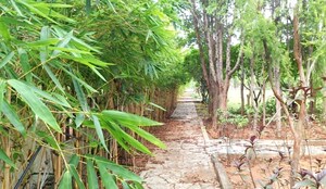  Plot – Exterior View View at Bhuvanagiri - for Sale