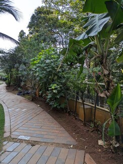 4 BHK Villa For Rent in Prabha Park Baner