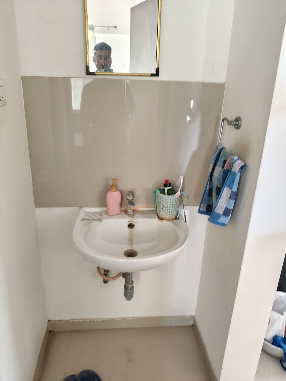 1 BHK Apartment For Sale in Puranik Aldea Anexo