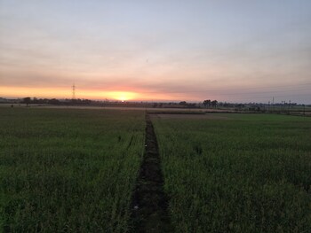 Land for Rent in Pal Gam, Surat