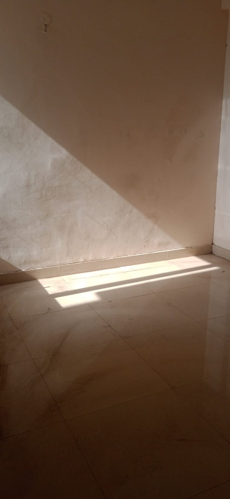 Room, amrapali-dream-valley 1 Bedroom 585 Sq.Ft. Apartment In Tech Zone 4 Greater Noida Greater Noida 10077953