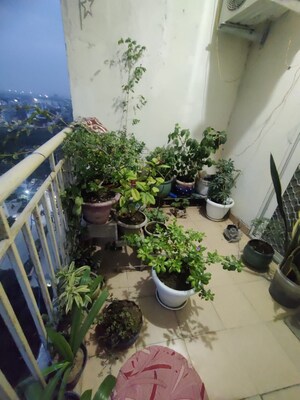 Balcony in 3 BHK Apartment at Paramount Emotions, Sector 1 Greater Noida – for Rent