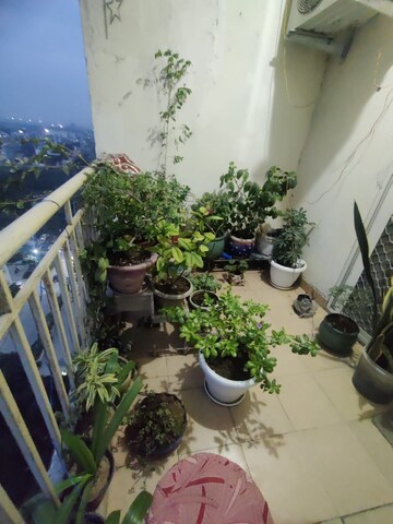 Balcony in 3 BHK Apartment at Paramount Emotions, Sector 1 Greater Noida – for Rent