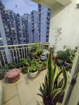 Balcony in 3 BHK Apartment at Paramount Emotions, Sector 1 Greater Noida – for Rent