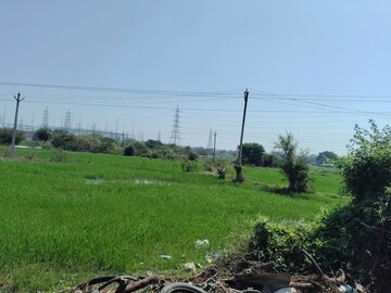 Plot Area in  Plot at Atkay The Dream One, Narsapur – for Sale