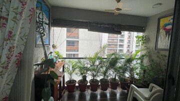 3 BHK Apartment – Exterior View View at Vastrapur - for Rent