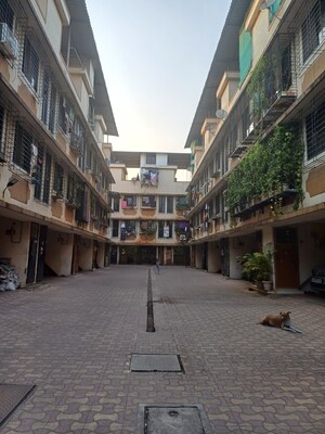 1 BHK Apartment For Rent in Ghansoli