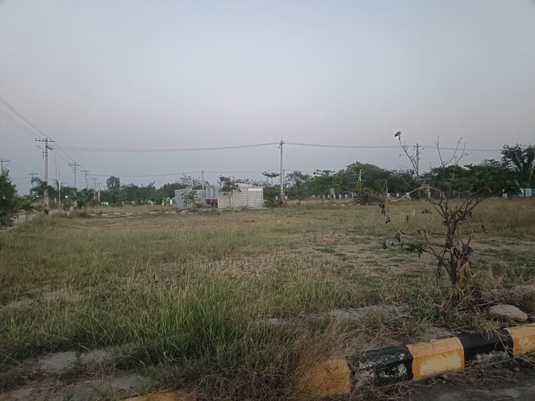 undefined, gowdavalli  222 Sq.Yd. Plot In Gowdavalli Hyderabad 10080247