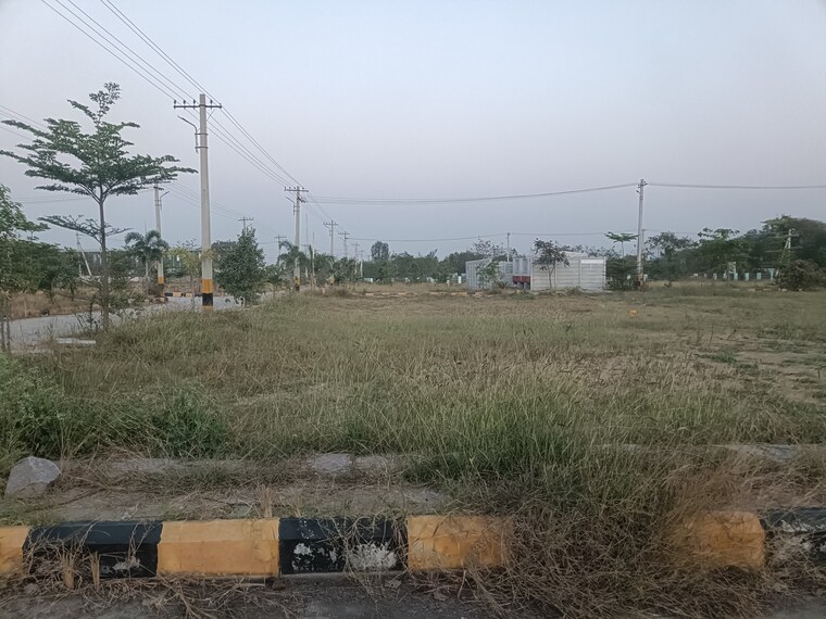 undefined, gowdavalli  222 Sq.Yd. Plot In Gowdavalli Hyderabad 10080247