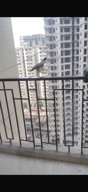 3 BHK Apartment – Exterior View View at ATS Dolce, Zeta I Greater Noida - for Rent