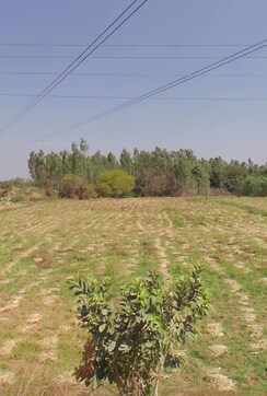 Plot For Sale in Jigani