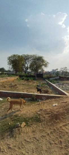 Plot For Sale in Shouryapuram