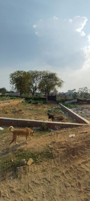  Plot For Sale in Shouryapuram, Lal Kuan