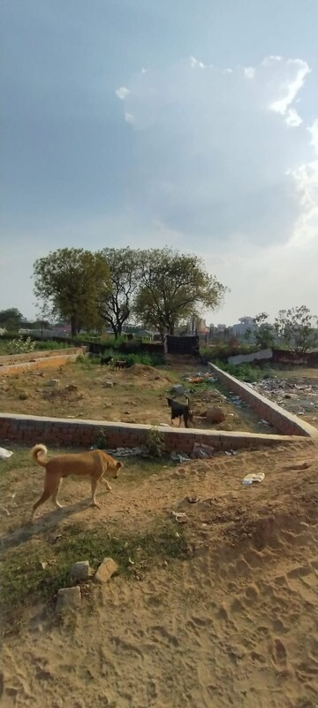  Plot For Sale in Shouryapuram, Lal Kuan