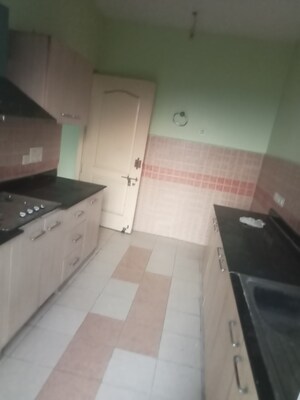 Kitchen in 3 BHK Apartment at Ansal Celebrity Meadows, Sushant Golf City – for Rent