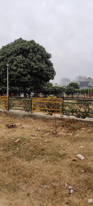  Plot – Exterior View View at Mullanpur - for Sale