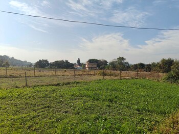Plot for Sale in Kotabagh, Nainital
