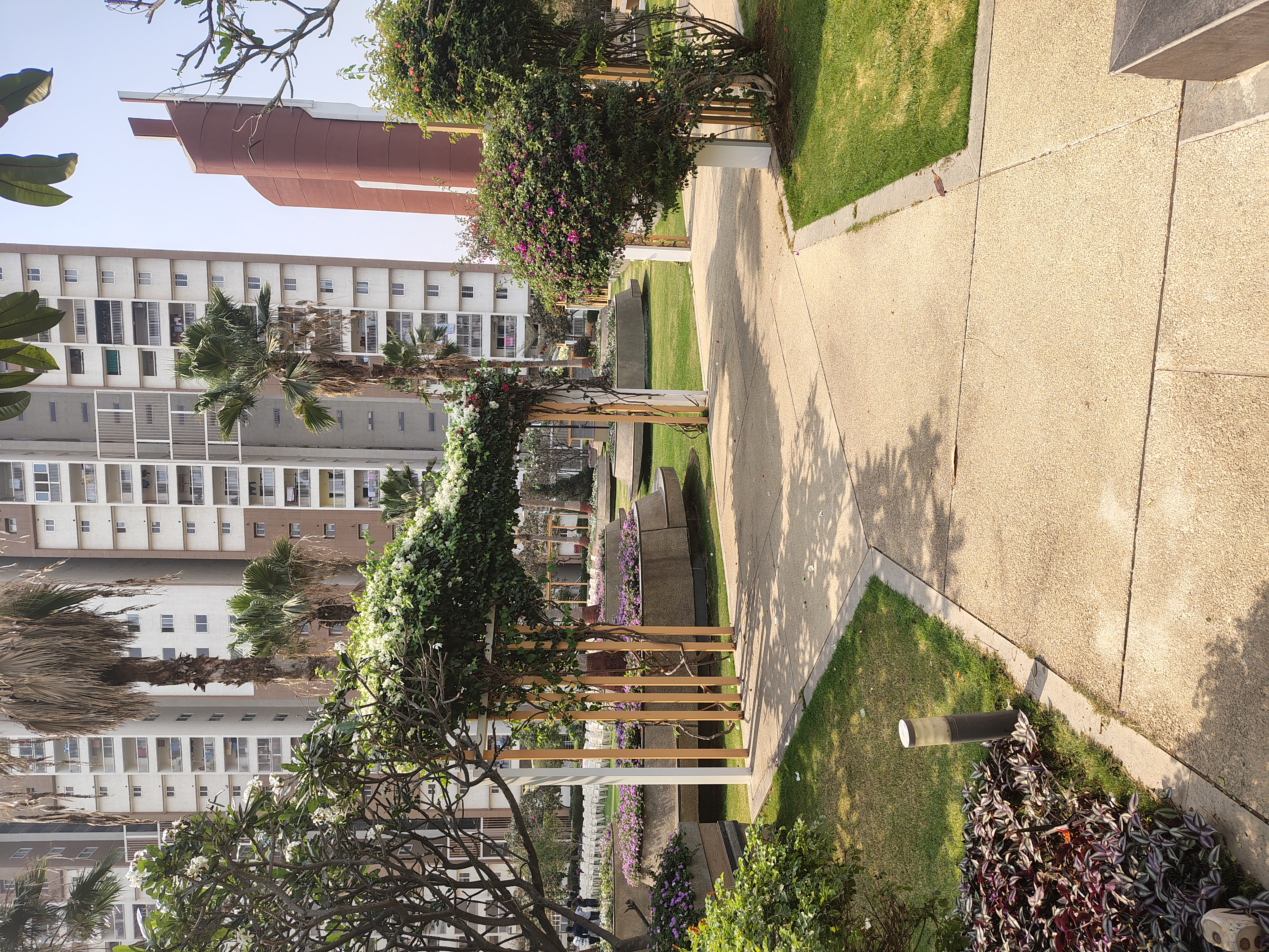 Rental 2 Bedroom 1314 Sq.Ft. Apartment in My Home Avatar, Gachibowli ...